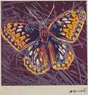  / San Francisco Silverspot / Andy Warhol