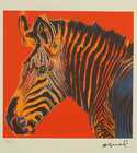  / Zebra / Andy Warhol