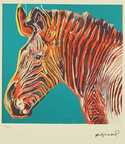  / Zebra / Andy Warhol