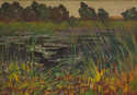  / Lekníny / Jaroslav Panuška