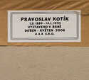 / Kůň / Pravoslav Kotík