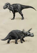 / Tyranosaurus Rex a Triceratops horridus / Petr Modlitba