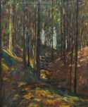  / Slunce v lese / Alois Wierer
