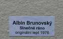  / Slnečné ráno / Albín Brunovský