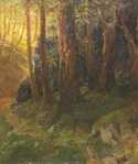  / Slunce v lese / Hans J.  Gantner