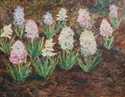  / Rozkvetlé hyacinty / František Kaván