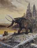  / Mastodon americanus / Petr Modlitba