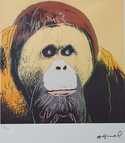 / Orangutan / Andy Warhol
