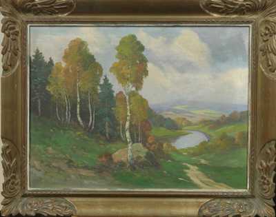 Břízky v krajině