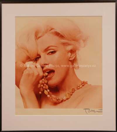 Marilyn Monroe - Last sitting
