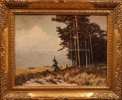 Gustav  Porš - Na kraji lesa