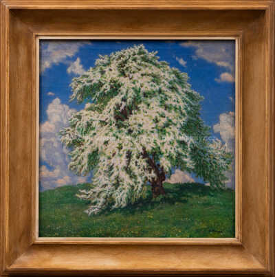 Jan Honsa - Kvetoucí strom