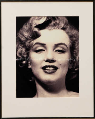 Philippe Halsman - Marilyn Monroe - sitting pro časopis Life