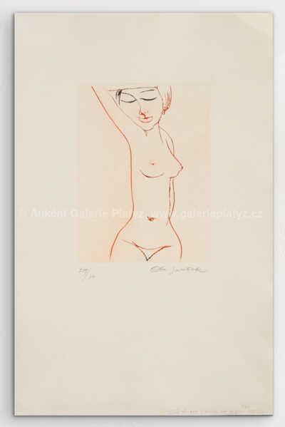 Ota Janeček - Dívčí půlakt s rukou za hlavou