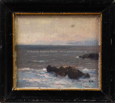 Alexej Vasiljevič Hanzen - U moře