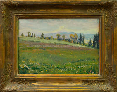 Jaroslav Panuška - Rozkvetlá louka
