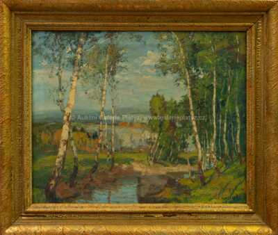 Alois Kalvoda - Potok pod břízami