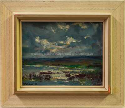 František Líbal - Dunajovický rybník