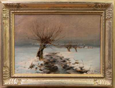 František Slabý - Vrby