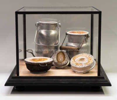 Jan Švankmajer - Zmineralizované zátiší