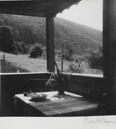 Josef Sudek - Pohled z altánku