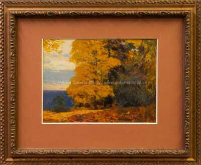 Roman Havelka - Podzim