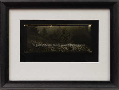 Josef Sudek - Peklo (z cyklu Poznámky)