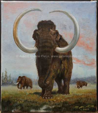 Petr Modlitba - Mammuthus primigenius