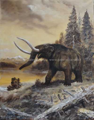 Mastodon americanus