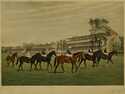  / Anglické derby / W. Barth