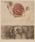  / Vanitas I / Jiří Anderle
