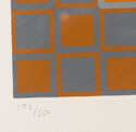  / Zeng / Viktor Vasarely