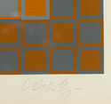  / Zeng / Viktor Vasarely