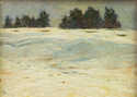  / Zimní krajina (1900) / Jan Honsa