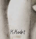  / Hlavy / Kristian Kodet