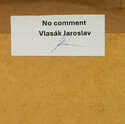  / No comment / Jaroslav Vlasák