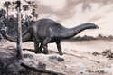  / Brontosaurus Parvus / Petr Modlitba