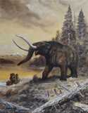  / Mastodon americanus / Petr Modlitba