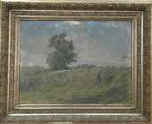 Roman Havelka - Na poli