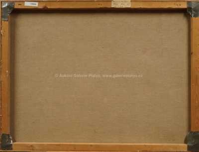  / Stráň / Vladimír Mičko