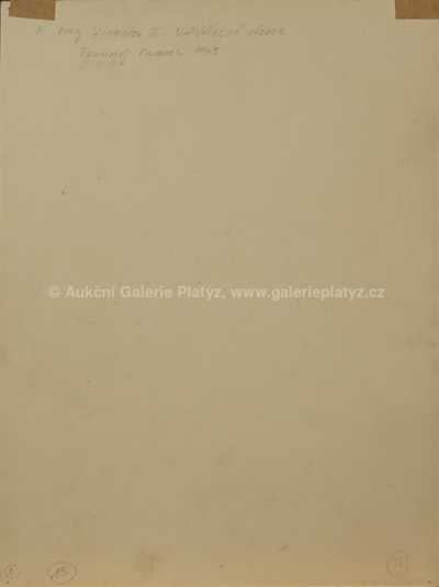  / Na válečné stezce / Zdeněk Burian