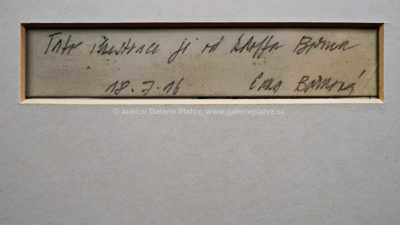  / Marťanský dopoledník / Adolf Born