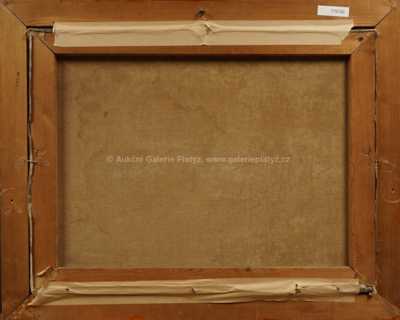  / Před statkem / Zdena Braunerová