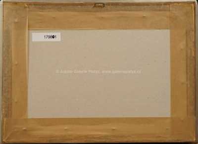  / Zimní nálada / Gustav Macoun