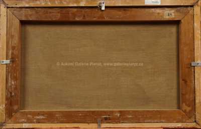  / Pohled na Brno / Leo Fitz