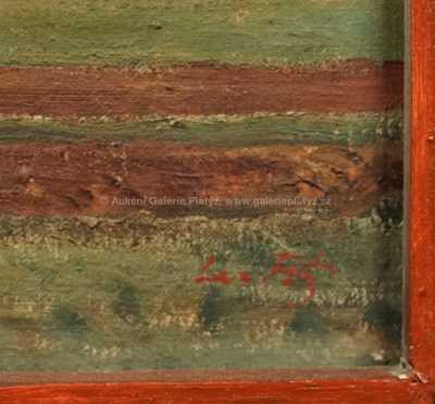  / Pohled na Brno / Leo Fitz