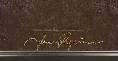  / Flétnista / Jan Rapin