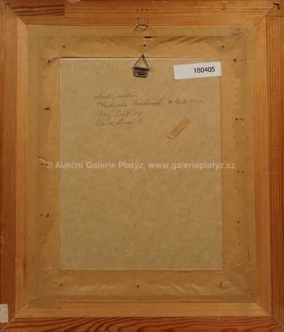  / Hlava / Vladimír Suchánek