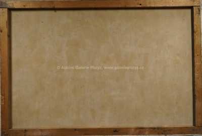  / Král a čert / Milan Klimeš