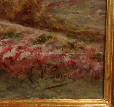  / Rozkvetlé pastviny /   Autor neurčen